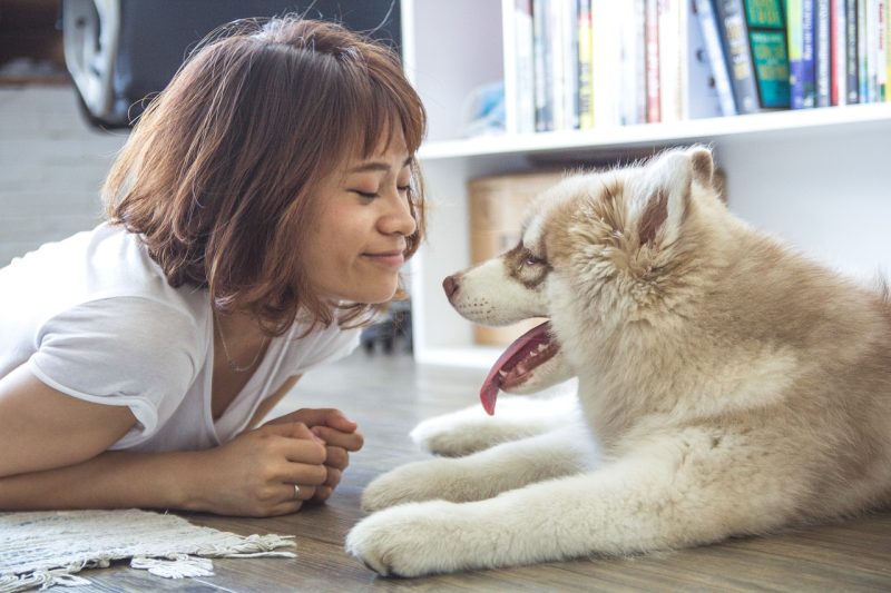 happiness in adopting dogs