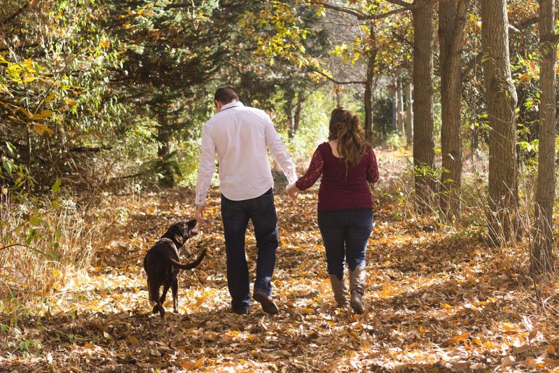 LARGE DOG BREEDS FOR FAMILIES