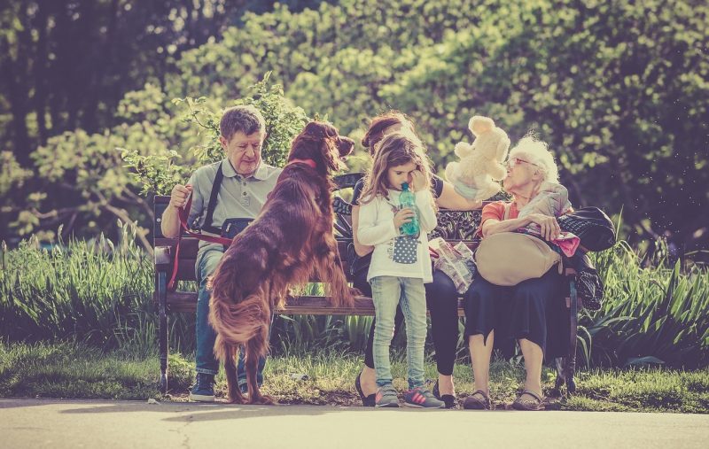 LARGE DOG BREEDS FOR FAMILIES