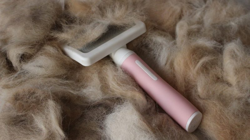 Dog Allergy-Friendly Grooming Practices