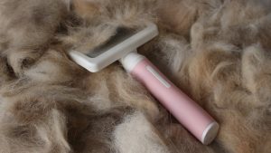 Dog Grooming For Hypoallergenic Dogs